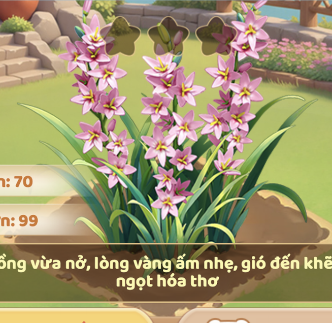 Diên Vĩ Thung Lũng Hồng